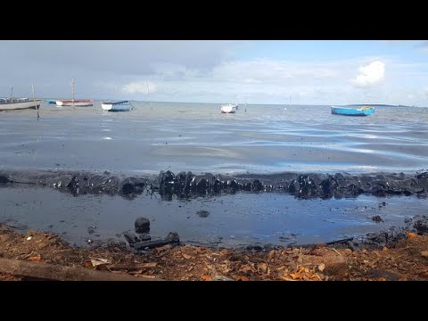 Frachterunglück vor Mauritius: "schlimmstes ökologisches Desaster"