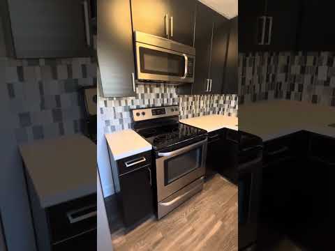 PKSL (pronounced "Pixel") is a recently re - Video 2 of 2