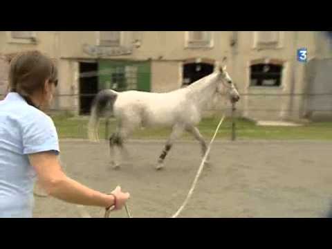 download lagu mp3 mp4 Petition Contre La Chasse, download lagu Petition Contre La Chasse gratis, unduh video klip Petition Contre La Chasse