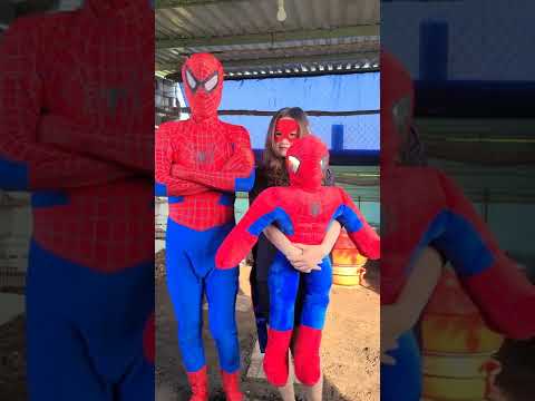papa mama i am here - Spiderman Family #Shorts #trending #spiderman #tiktok