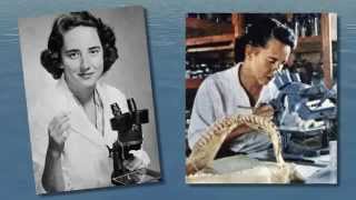 Wonder Woman of the Week: Eugenie Clark