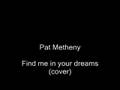 Pat Metheny Find me in your dreams (cover)