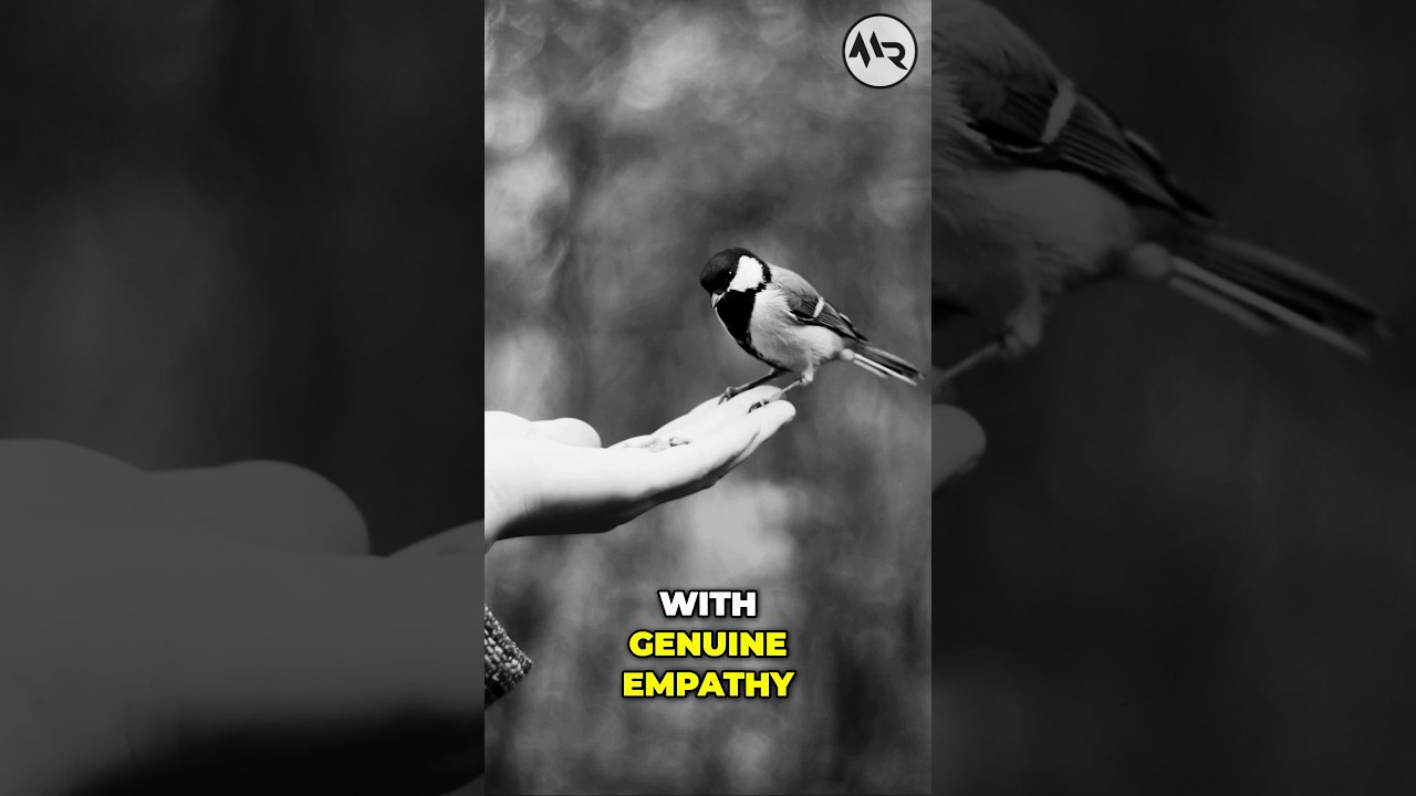 Transforming Relationships | The Power of Empathy in Confucianism