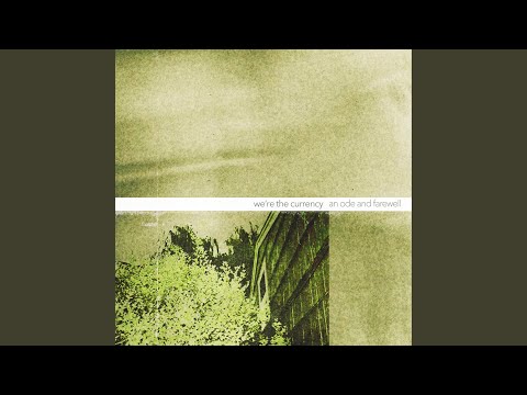 A Light In The Attic