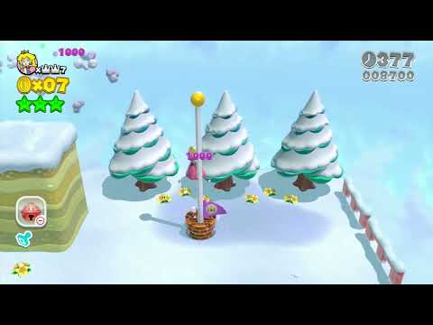 Super Mario 3D World 6-5 Speedrun - Time: 23 (Former WR)