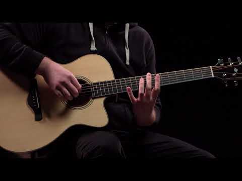 Ibanez "Slap'n'Tap" – David Sehling