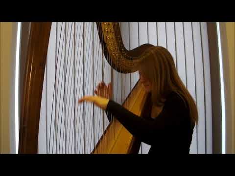 Beige Nocturne - Pearl Chertok