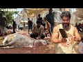 24 HOUR PROFESSIONAL QASAI SYED FAHAD