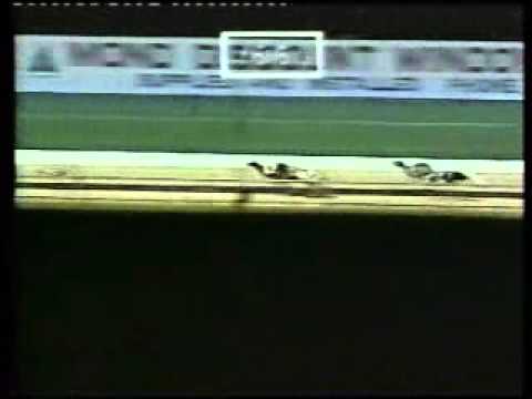Melbourne Cup 1995.wmv