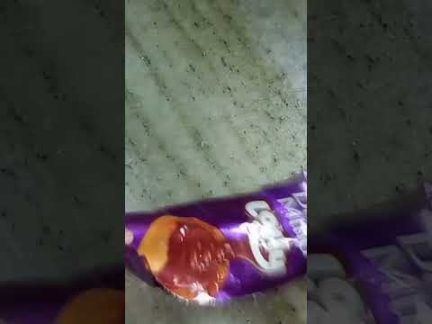 Cadbury dairy milk lolly#shorts#❤️💙💛🤎😍🙏 please subscribe 🙏