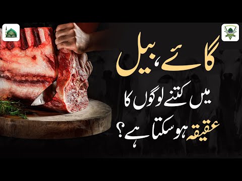 Bare Janwar Me Kitne Logo Ka Aqeeqah Ho Sakta Hai? | Cow Me Aqeeqa Karna | Darulifta Ahlesunnat