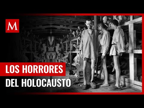 Holocausto: Testimonios que no debemos olvidar