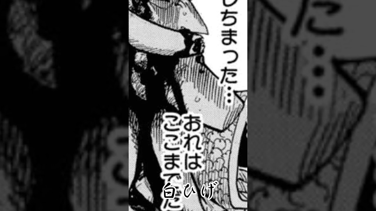 ワンピース死んで欲しくなかったキャラ  #shorts    #ワンピース   #バズれ