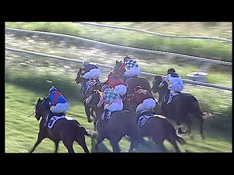 Napoli Galoppo 14/07/2021 - 4ª corsa