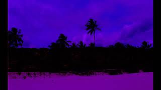 Nara Leão &amp; Tom Jobim - Fotografia