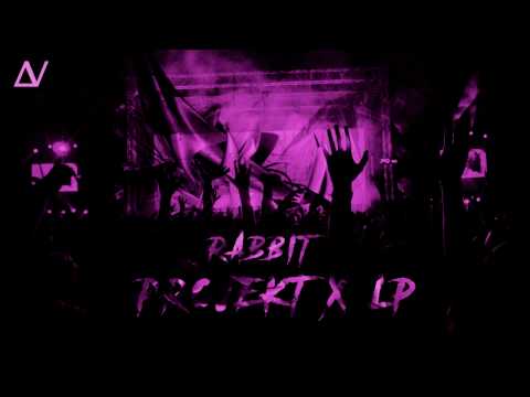 Video thumbnail for Projekt X LP