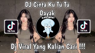 Download lagu DJ CINTA KU TU TU DAYAK VIRAL TIK TOK TERBARU 2023 YANG KALIAN CARI mp3