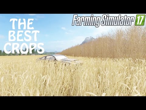 The Best Crops To Have in Farming Simulator 2017 | Listen Carefully | PS4 | Xbox One