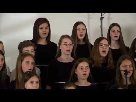 Dynamis: La apa de viata, Bucuresti - mai 2019