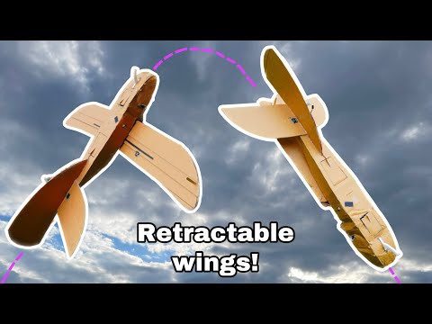 I Made An Airplane Designed To Fall From The Sky | Swing Wing V1
