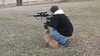 preview picture of video 'Police K9 training gunfire and obedience'