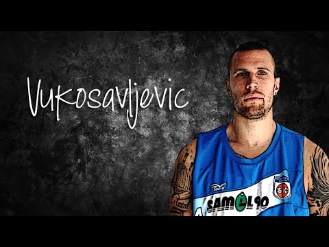 IBC Scout - Filip Vukosavljevic (C-PF 205cm) - Highlights (2015-16)