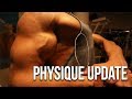 ARM WORKOUT | Perfect Summer Day | Physique Update