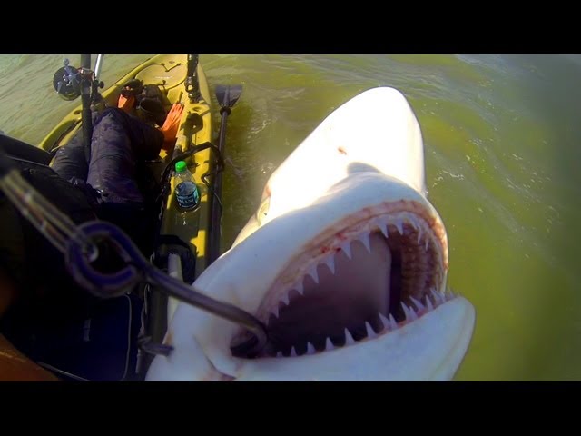 Kayak Fishing: Offshore Trip Gone Wrong - Part 3