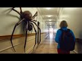 If you're Scared of Spiders, Don't Watch This