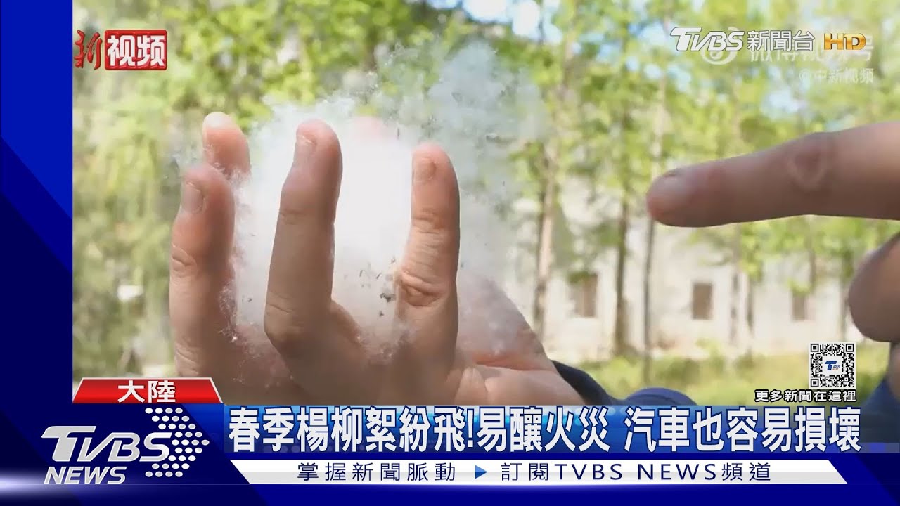 楊柳絮紛飛藏危機！一根菸蒂恐野火燎原　損壞汽車過濾系統