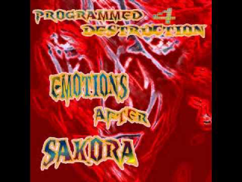 Programmed 4 Destruction - Sakora (preview)