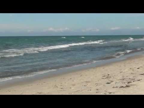 Ein Tag am Darßer Weststrand Juli 2012