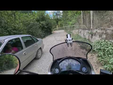 Pe Drum Județean nr. 687F, Govăjdia-Lelese. 10.VIII.2024.