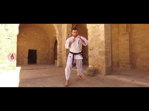 * Kyokushin Champions * ''The 4th Tunisian Fighters Camp''