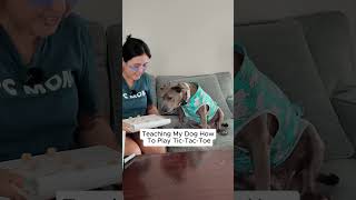 Friday Night Plans: Teaching My Dog Tic-Tac-Toe  #dogshorts  #funnydogvideos #dogmom @openfarmpet
