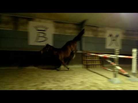 LadyCalando 25 11 2013