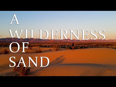 Exploring Southern California's Algodones Sand Dunes