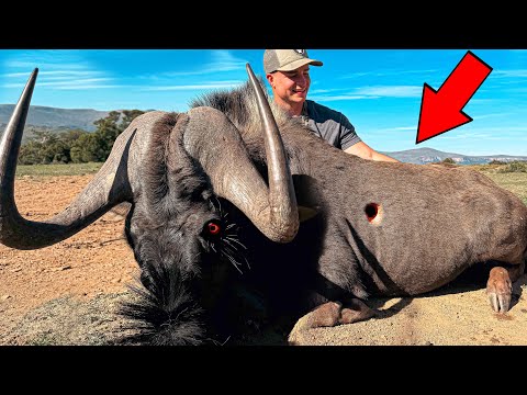 Top 30 Best Hunts of All Time!