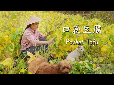 Pocket tofu: springy outside, silky inside—Baoshan’s “bursting tofu pearls.”【滇西小哥】