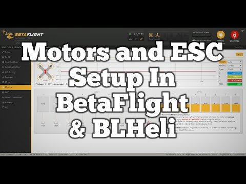 [Betaflight Basics] Setting Up Your Motors & ESCs in Betaflight and BLHeli Suite