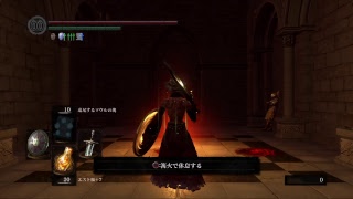 【二週目ダクソ】