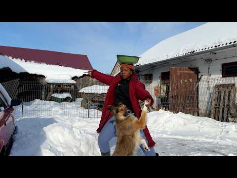 My Morning Routine Living In Polish Countryside As An African Woman