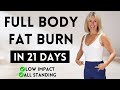 20 Minute Fat Burning Workout | Lose Body Fat At Home!