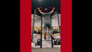 [問卦] 單槓在巔峰時期可以拉幾下?