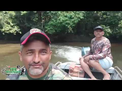 AVENTURA No Rio MURMURU