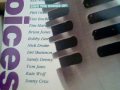 SUSAN COWSILL  At the end of the day  ( Sandy Denny tribute)