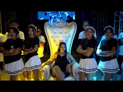 Los XV Años de Briana