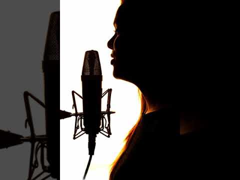 Get To The Lights - Amphibious Zoo Music