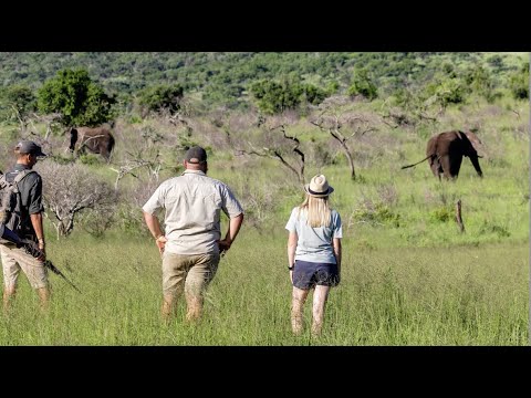 Zuid-Afrika Reizen