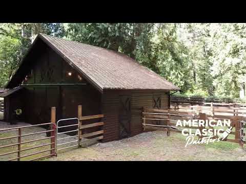 Transform Your Home’s Curb Appeal | Expert Exterior Painting in WA 🏡✨